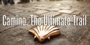 A gold shell sitting on top of a brick road.