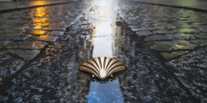 A shell shaped object on the ground in front of a street.