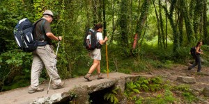 Two people walking across a bridge in the woods.