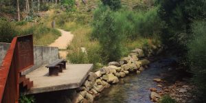A bench sitting on the side of a river.