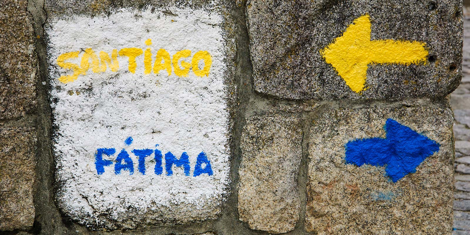 A close up of the words " tiago " and " fatima ".