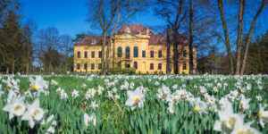 Former imperial residence in Eckartsau town in Austria B