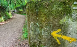 Arrow on the Camino path