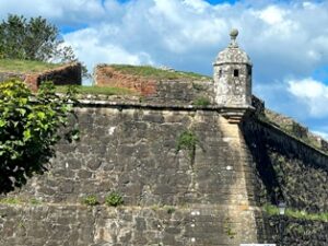 Beautiful scene along the Portuguese Camino
