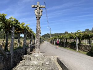 Crucifix surrounded by grape vines along the Portuguese Camino path on a MEDSEAS trip.