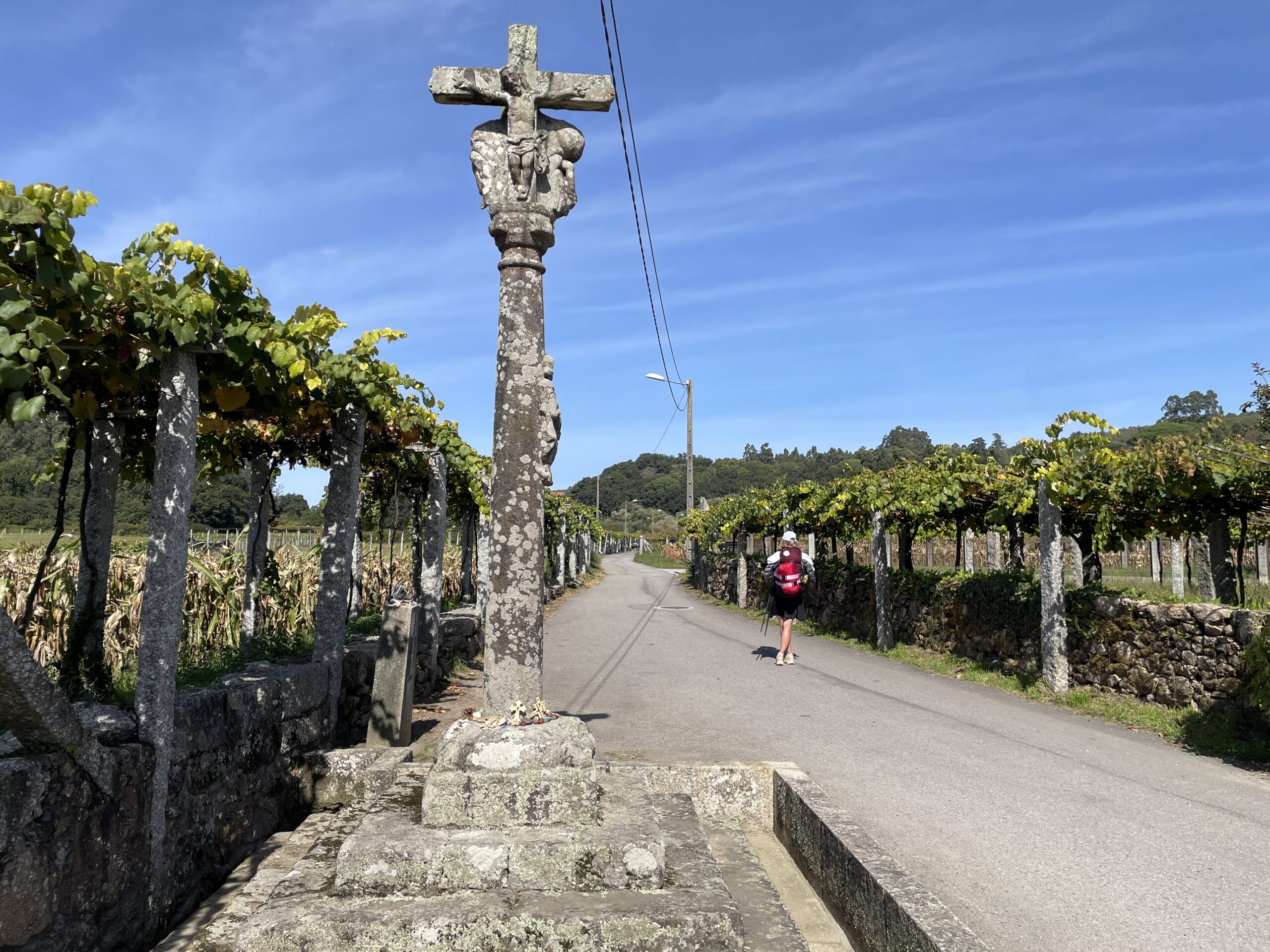 Crucifix surrounded by grape vines along the Portuguese Camino path on a MEDSEAS trip.